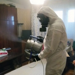 Дезинфекция от клопов в Весьегонске