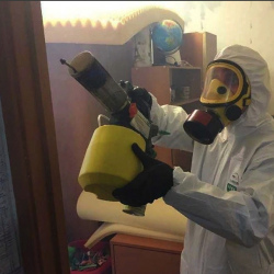 Уничтожение клопов в квартире. Весьегонск